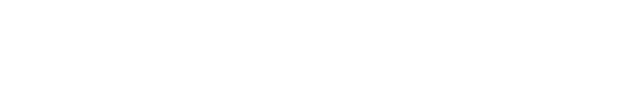 Logo for New Orleans Auction Galleries