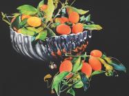 Pedro Diego Alvarado-Rivera, Reflejos de Naranjas Chinas, 2024, Oil on linen, 36.61 x 42.32 in, 93 x 107.5 cm