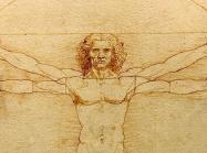 Da Vinci's Vitruvian man from the chest up- a figure of a man with four arms in a circle
