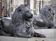 Two of the four lions in Trafalgar Square, one of the Landseer’s most famous works. At the base of Nelson's Column, 2021. License