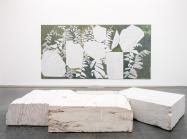 Sam Moyer Installation Photos - Gary Mamay
