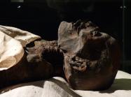 The mummy of Ramses I was looted from Egypt around 1860 and held in various private collections in Canada and the US up until 2003. The mummy is currently on display in the Luxor Museum.