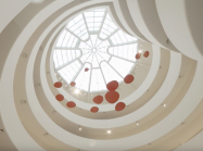 Looking up at Red Lilly pads in museum