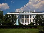 the white house