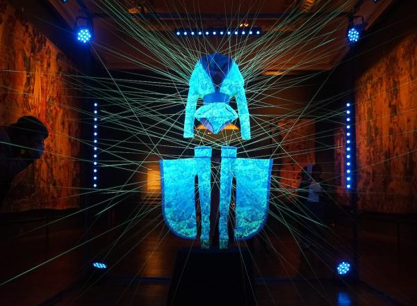  Glowing transgenic silk garment