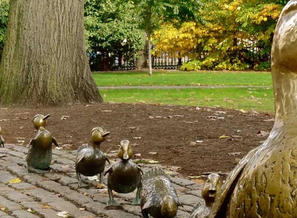 Make Way for Ducklings