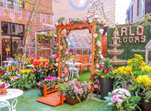ARC Arlo Blooms, Previous Designed Space