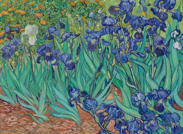 Vincent van Gogh (Dutch, 1853-1890), Irises, 1889. Oil on canvas, 74.3 x 94.3 cm (29 ¼ x 37 1/8 in). 