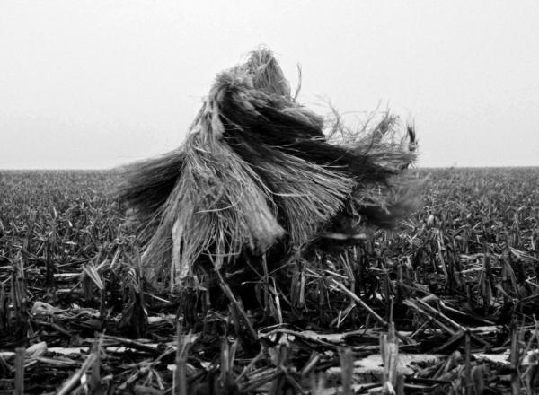 Fern Shaffer, Cornfield Outside Mineral Point, Wisconsin, 1997. Costume made from canvas and raffia.