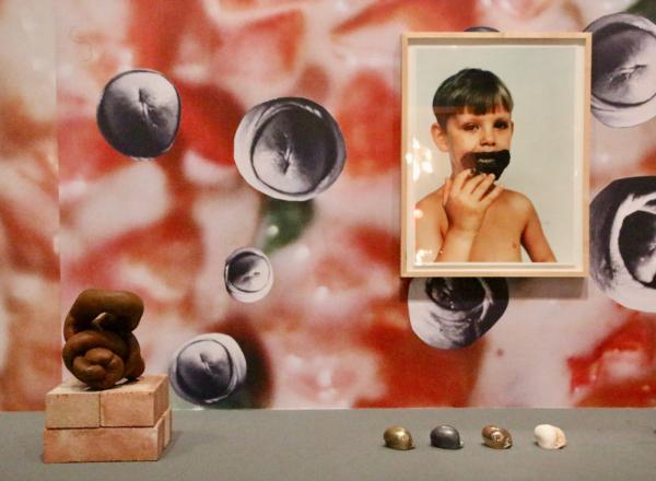 Installation view, Sarah Lucas: Au Naturel, at the Hammer Museum through September 1
