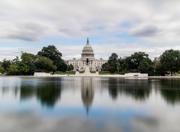 United States Capitol and reflecting pool. Source.