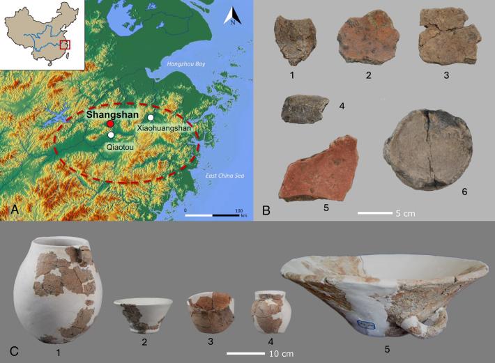 Evidence for 10,000 year old rice beer found on ceramic vessels at the Shangshan archaeological site is now the oldest known example of rice fermentation of this kind in East Asia.